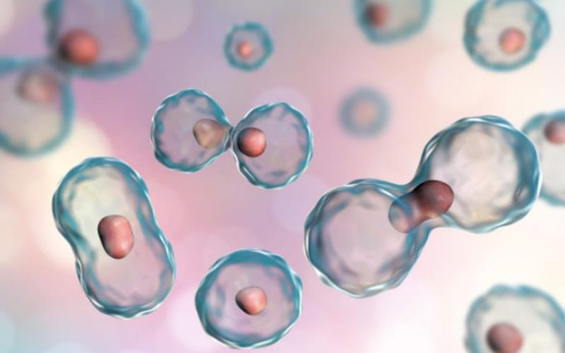 当归四逆汤治老寒腿吗,当归四逆汤治腿肿