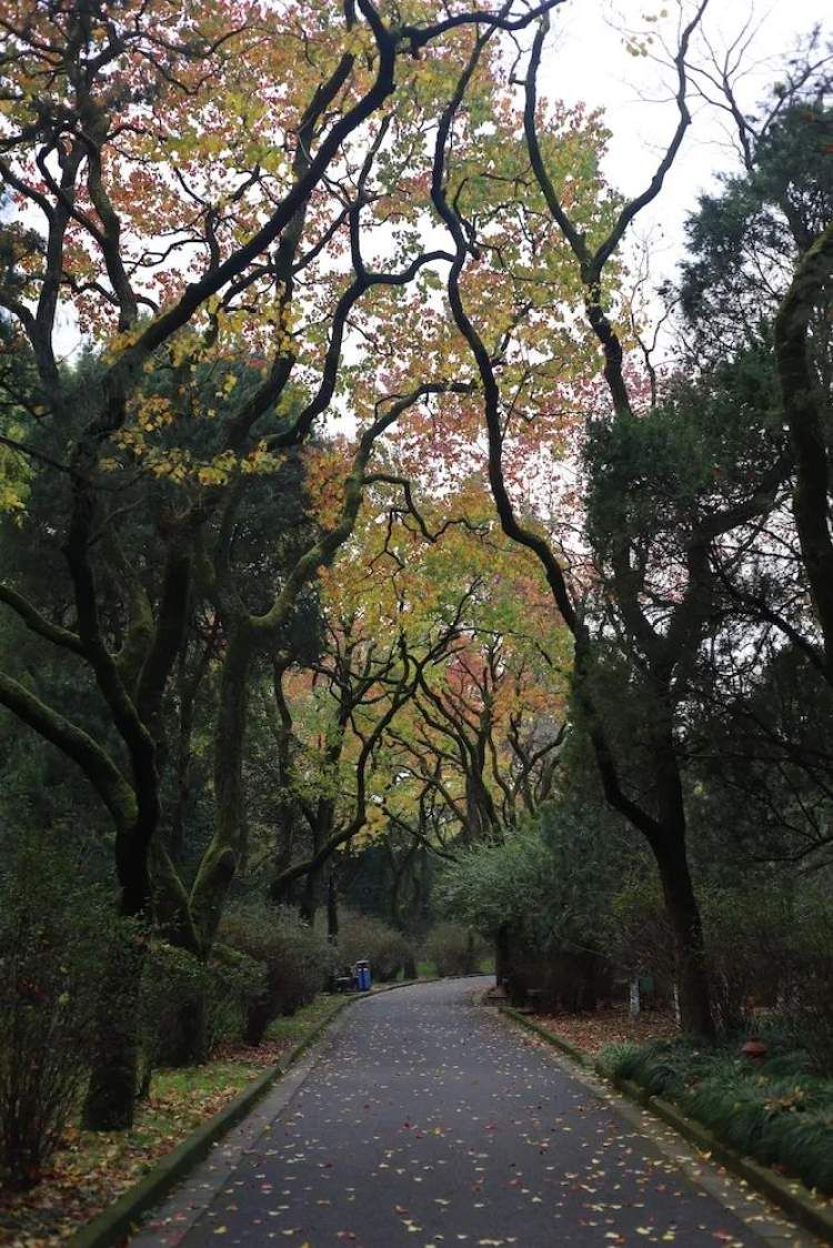 最值得打卡的动物园,国庆必打卡动物园推荐