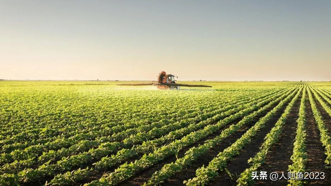 2023年中国农业农村报告,2022农业农村发展趋势