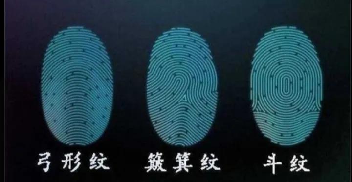指纹为什么会有斗纹和簸箕纹,历史上指纹是十个斗和簸箕纹的人