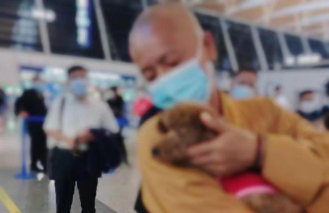 《失犬*藏西**老兵与神秘圣僧的相遇》