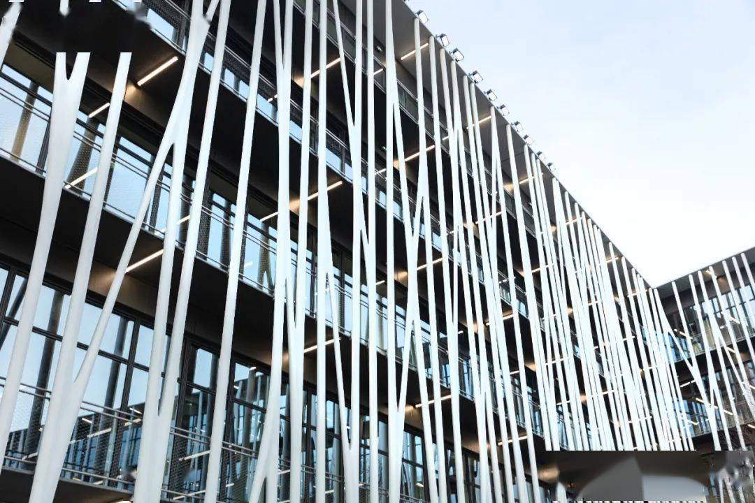 香奈儿山茶花系列高跟鞋,香奈儿高跟鞋山茶花