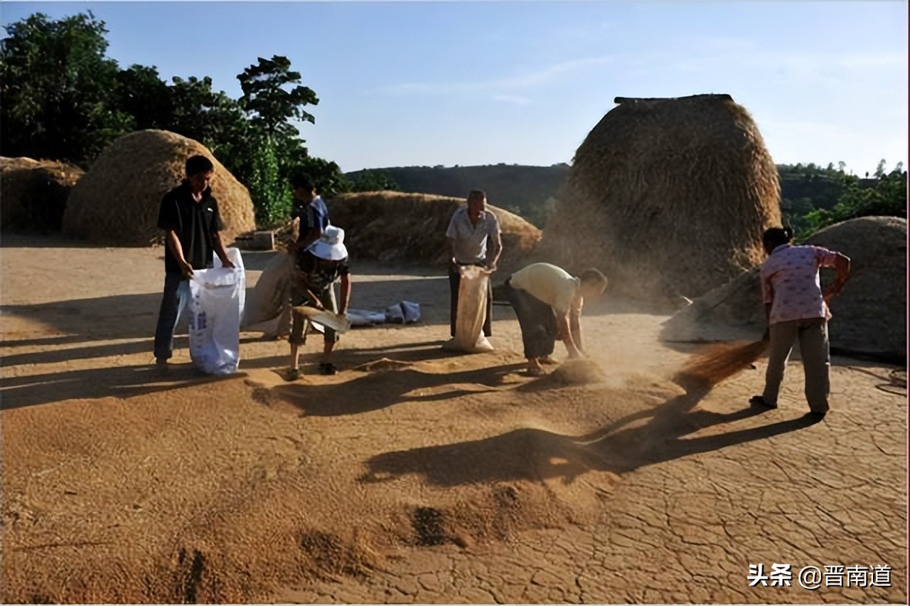 记忆那年秋创作的原声完整版,那年麦收歌曲视频