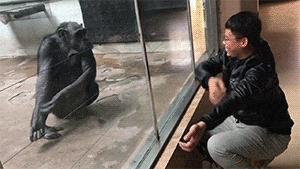 神回复有深度的话,神回复的意思