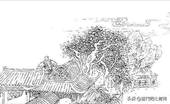 天龙八部第四十七章,天龙八部第五章朗读