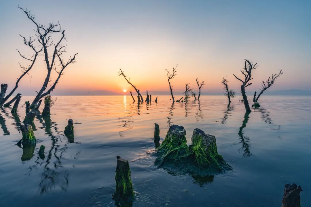 云南六日游保姆级攻略,昆明一日游住宿攻略推荐理由大全