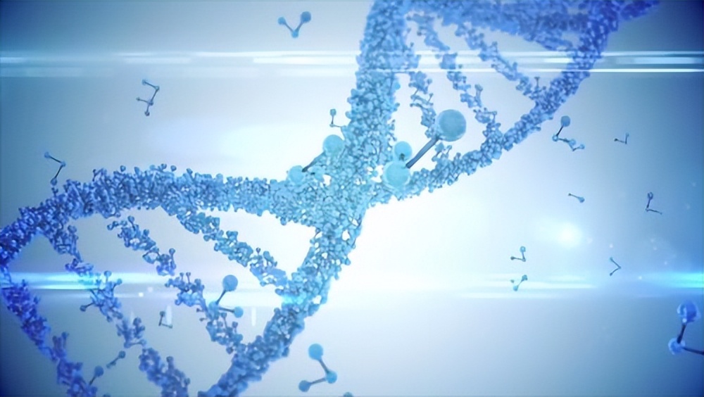 慢性心力衰竭的心功能分级,心力衰竭中医治疗方法