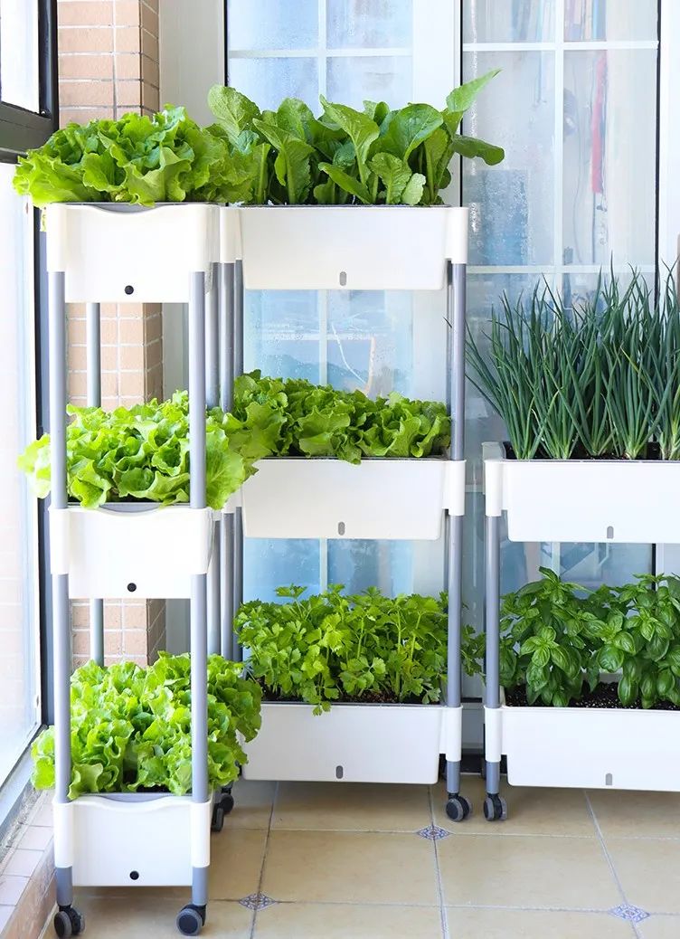 疫情过后买冰柜,疫情囤货买多大冰柜