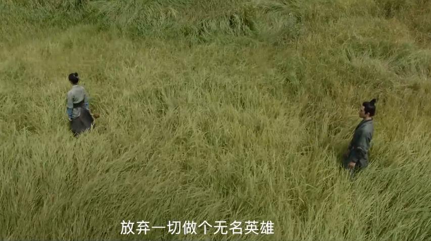 蹭ip电影东北,蹭ip的小视频