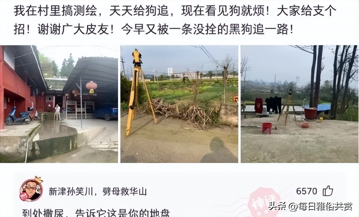 盐选神回复,盘点那些“盐选神回复”