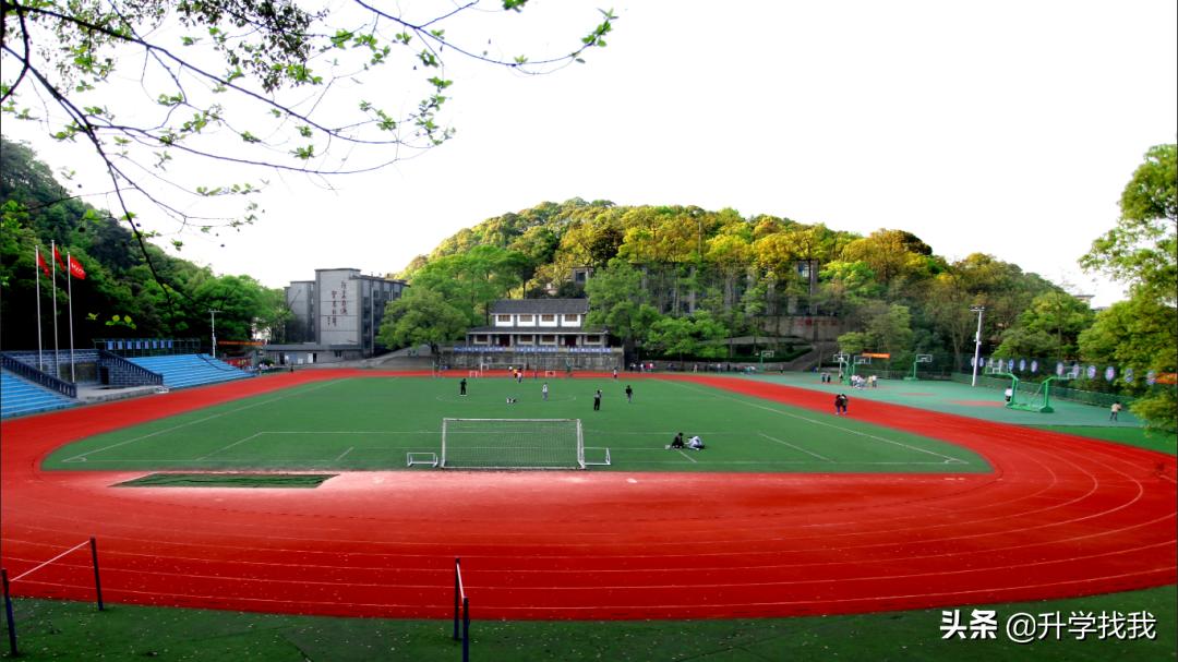 重庆小升初有哪些学校可以推荐,重庆南岸区中学排名前十名