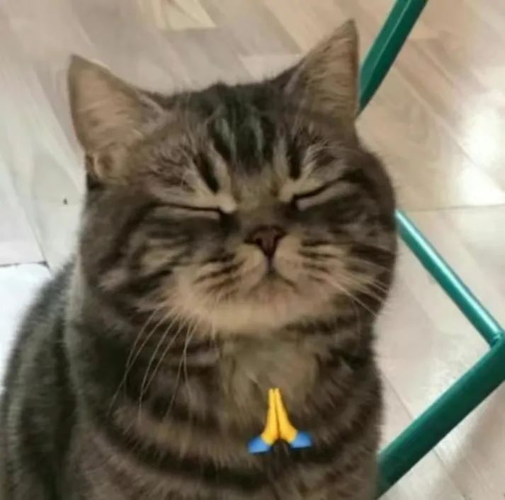 想清明办理迁移？上“津心办”网上预约时间