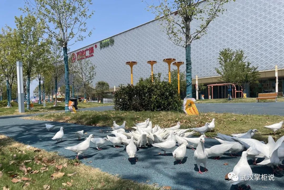 实探准现房,实探现房改善楼盘