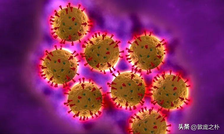 地球上最致命的四种病毒,地球史上最可怕的十种病毒