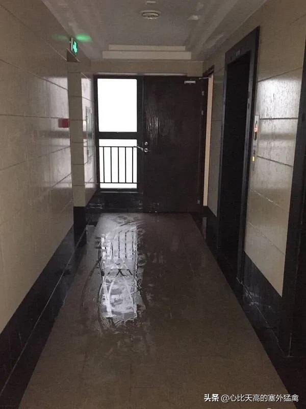 “回南天”驾到深圳，墙壁地面都流汗了，肿么办