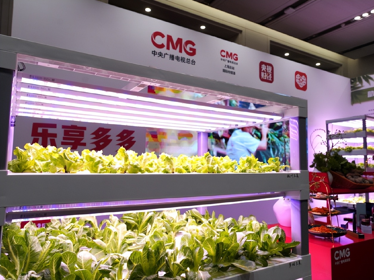 拼多多打造五五购物节,拼多多五五购物节活动