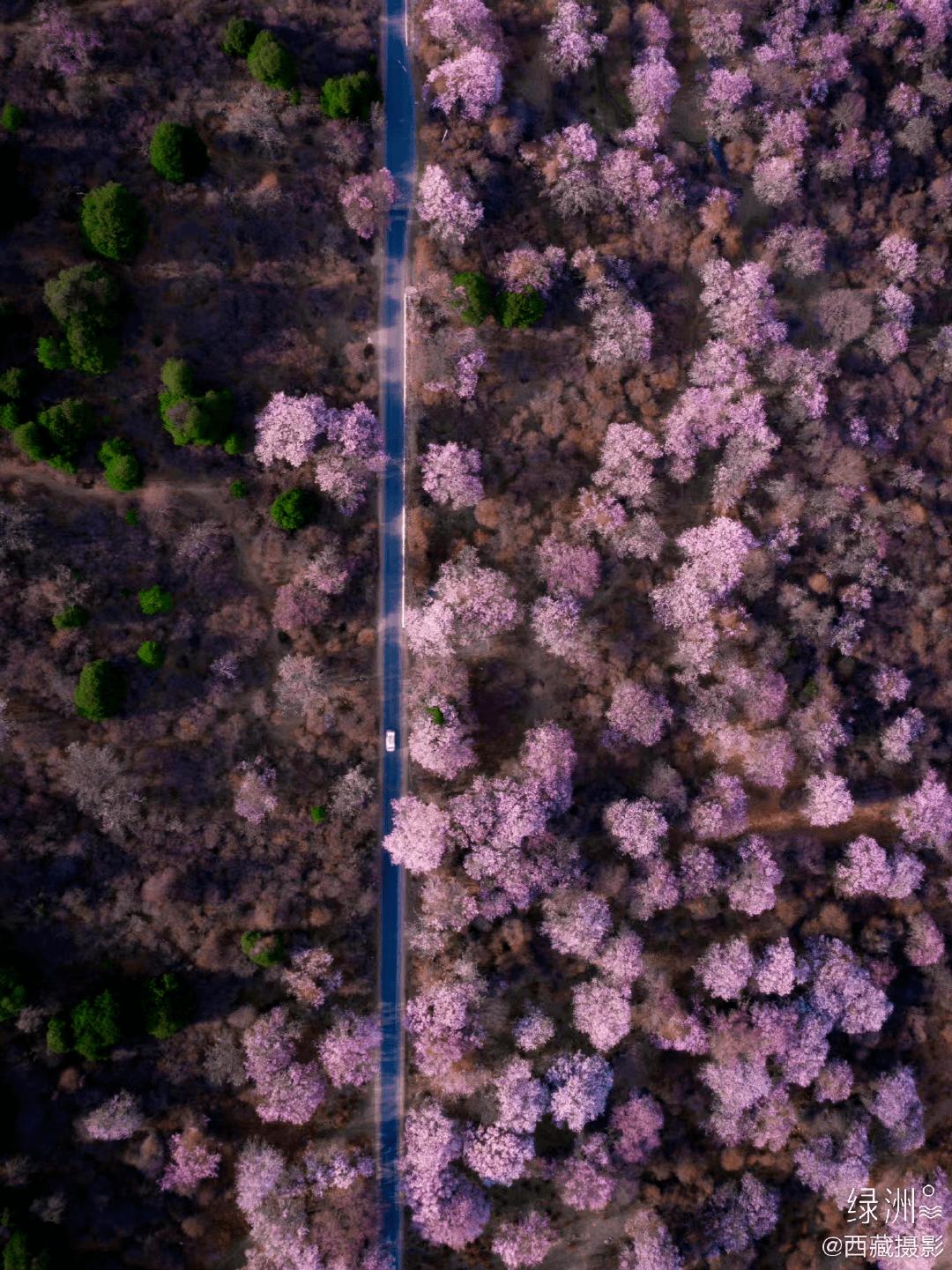 藏历年2023年日历,2023年西藏最美旅行时间表