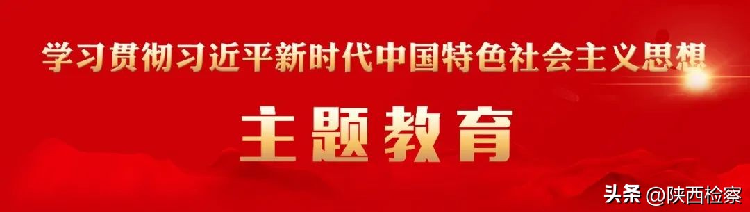 主题教育阶段性学习心得体会纸质,全省主题教育读书班学习心得体会