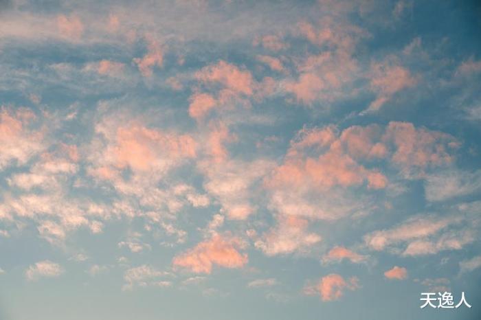 音质好的蓝牙音箱极简生活,比较好的多功能蓝牙音箱