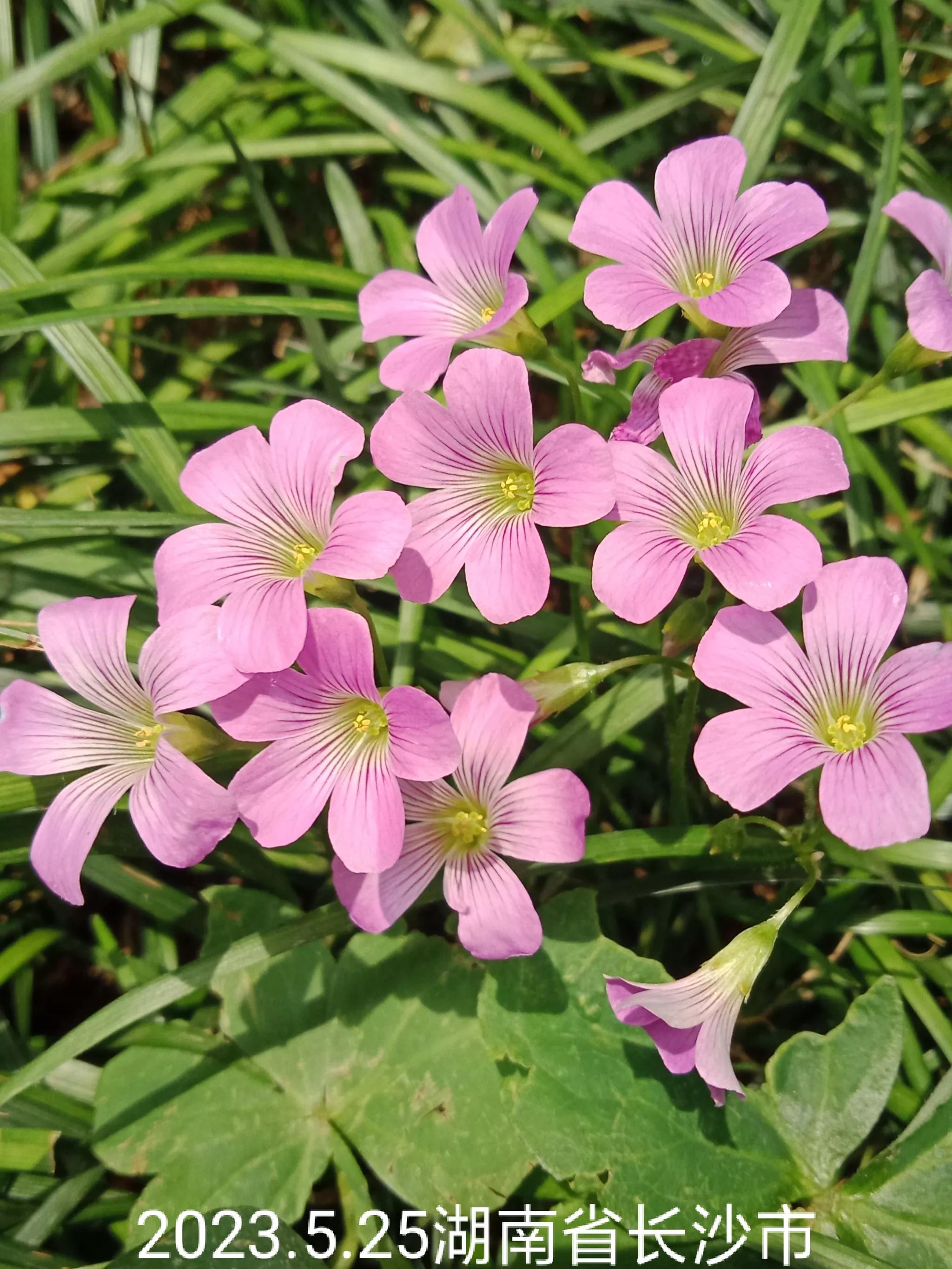 怎么找回没保存丢失的微信群,怎么找回没有保存的微信群