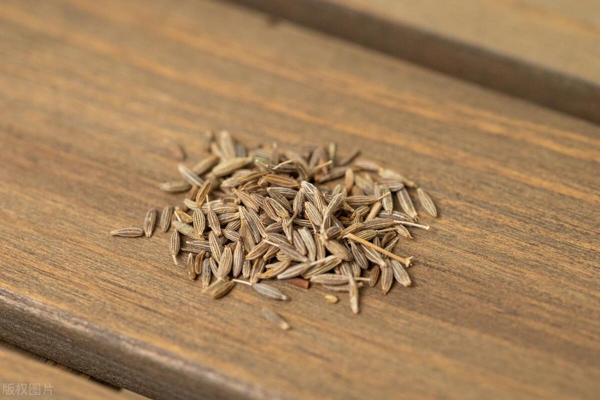 关于孜然进口清关流程详解