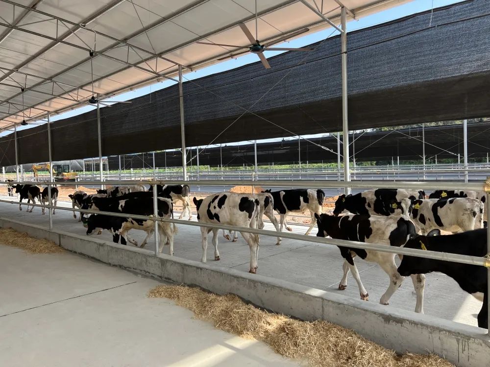 向上突围——云浮高质量发展融媒报道|新兴县村、社区将同步实现年经营收入15万元以上