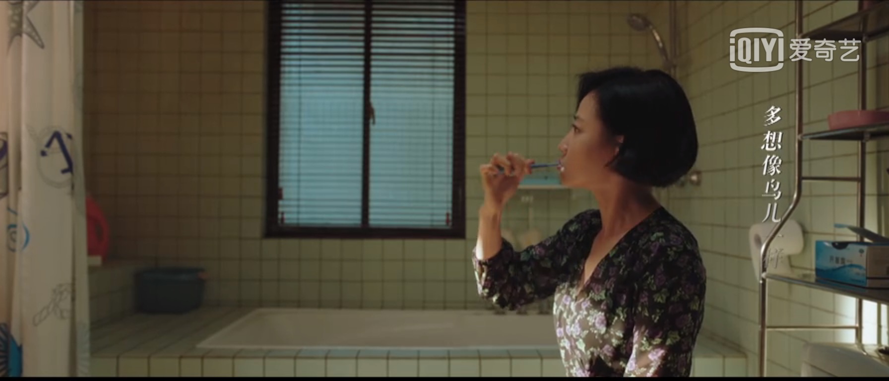 独特的视角全集,独到的视角解析