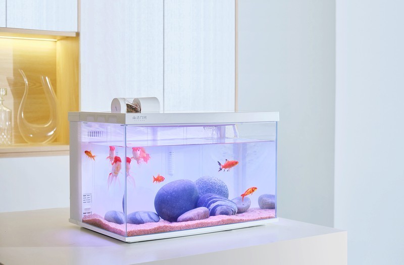 一款真·智能·慵懒化养鱼的神奇鱼缸