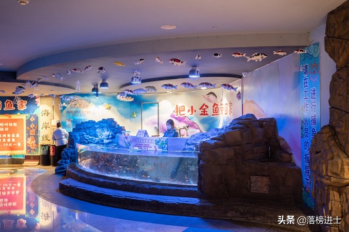 成都浩海立方的海洋馆游玩攻略,浩海立方成都海洋馆世界之最