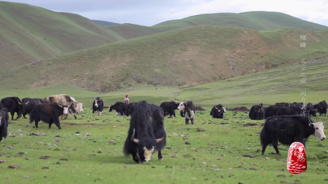 理塘天空之城照片,川西高原理塘