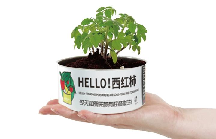 送同学的小礼物实用,毕业送同学礼物平价