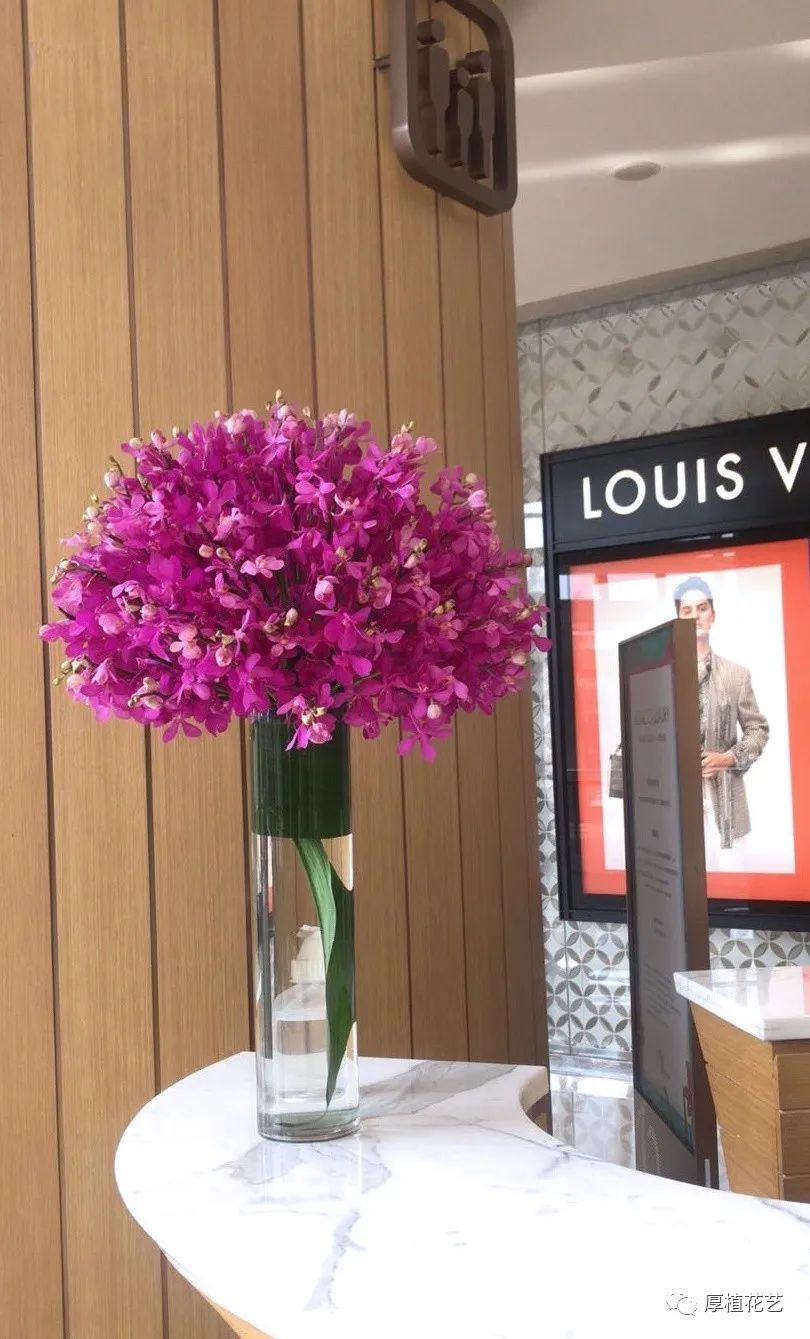 商务前台鲜花,前台花选择