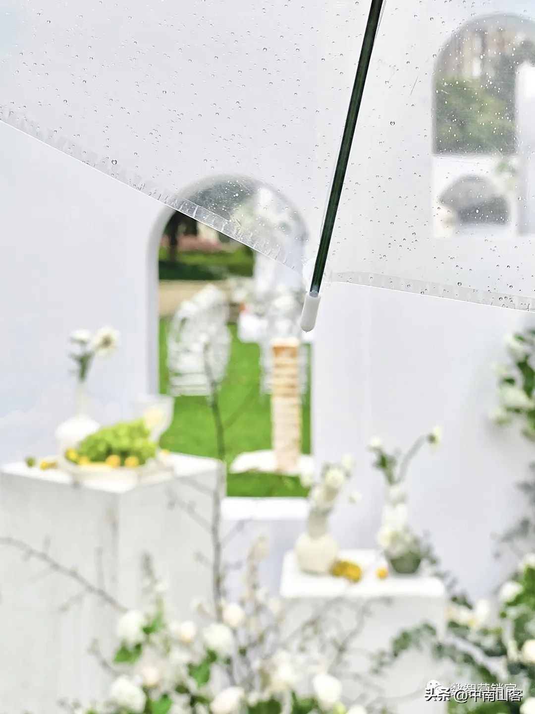 当在社交媒体上发布产品时，结果适得其反