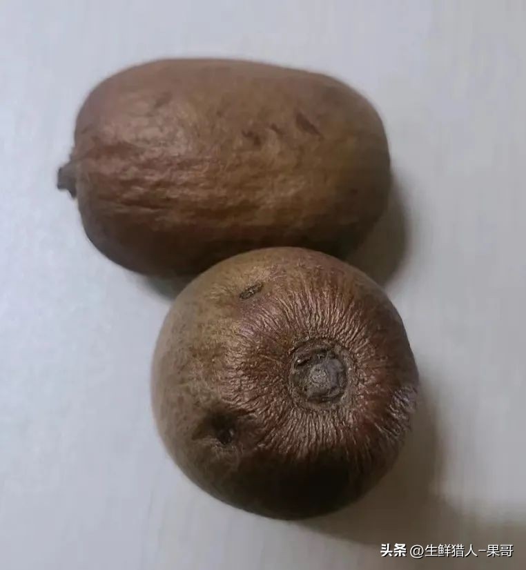 违背自然生长规律,违背自然生长法则