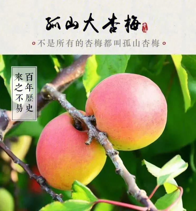 丹东附近的避暑好地方,丹东出去避暑自驾游3-4天最佳路线