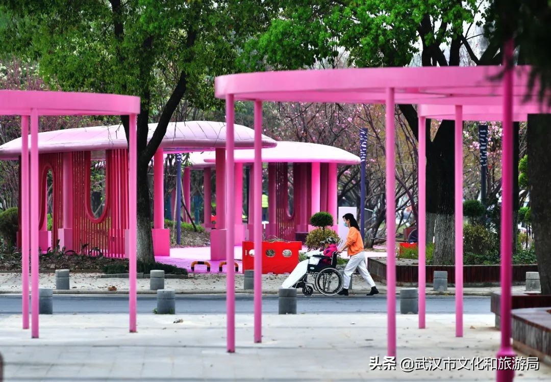 武汉东西湖区口袋公园,武汉小小口袋公园