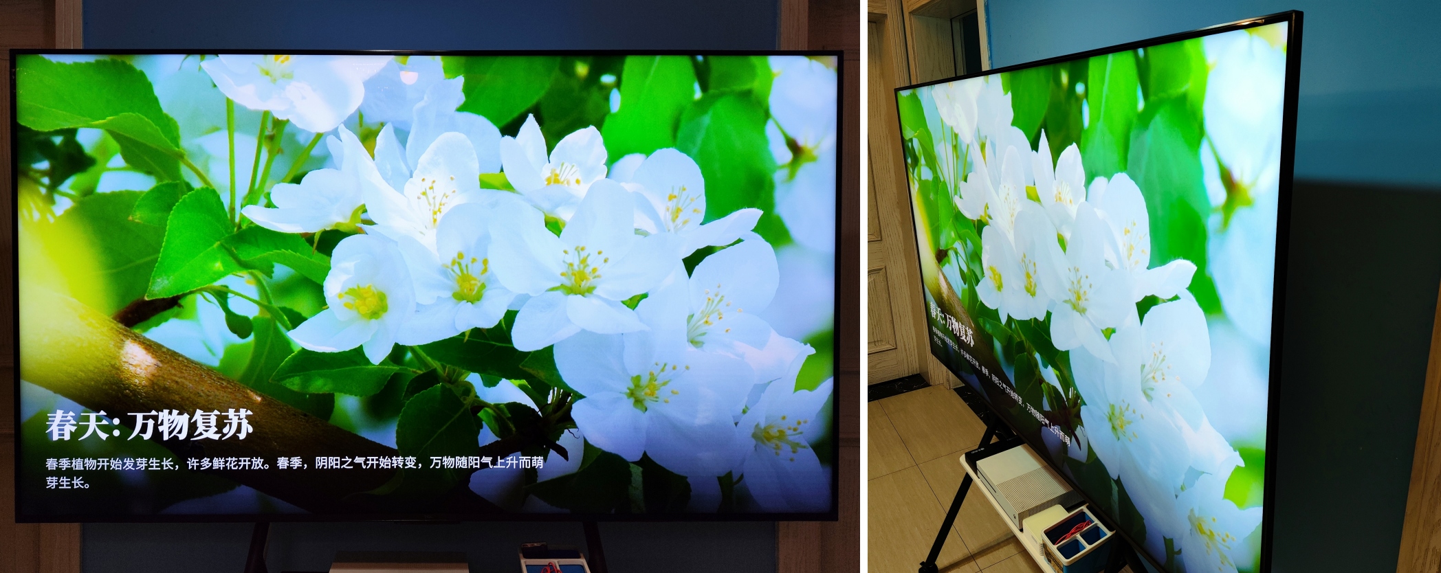 推荐一款性价比高的tcl电视,2023年热销的tcl电视