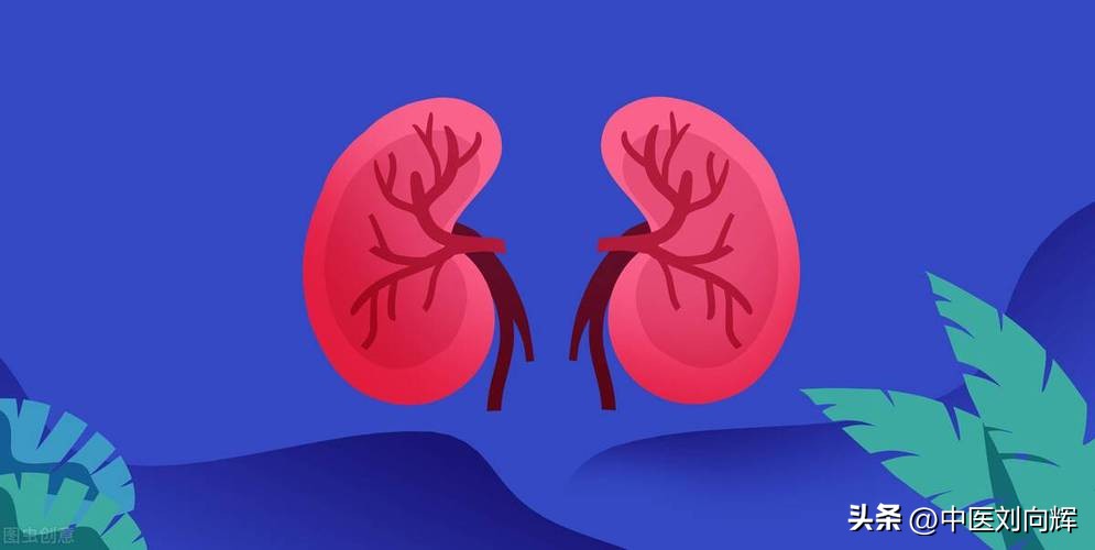 肾是先天之本怎样补肾最科学,肾为先天之本冬季四大养肾妙招