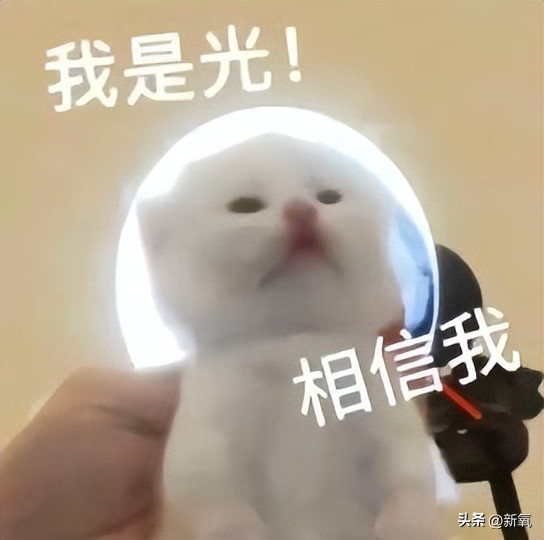 脸胖下垂是什么原因,脸肥下垂