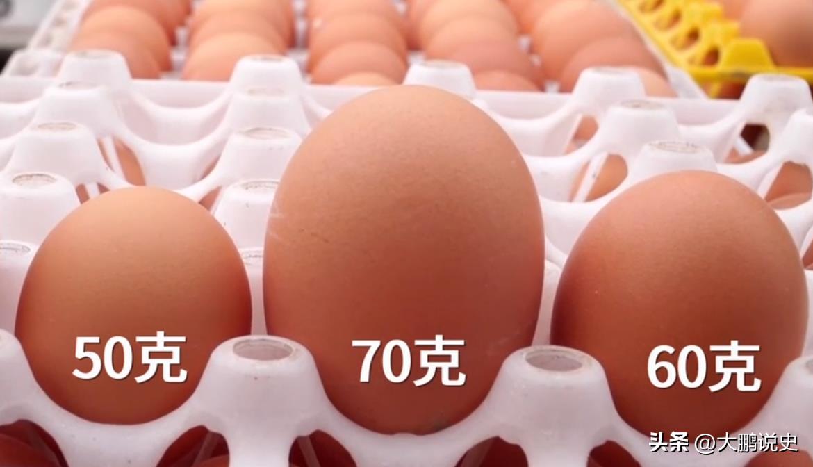 2021年山东富二代研制凤凰蛋，被嘲笑人傻钱多，一年狂赚1000万