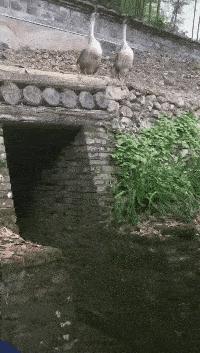 杭州最美老板娘视频,最美老板娘网友连夜赶往现场