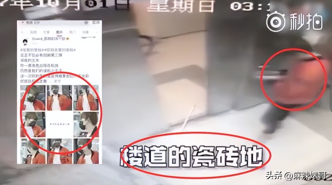 毛晓彤陈翔最新信息,毛晓彤陈翔现在怎么样了