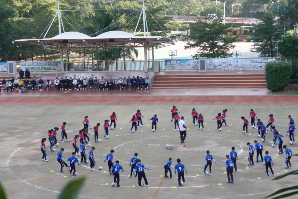思明区小学招生划片方案,思明区热点小学