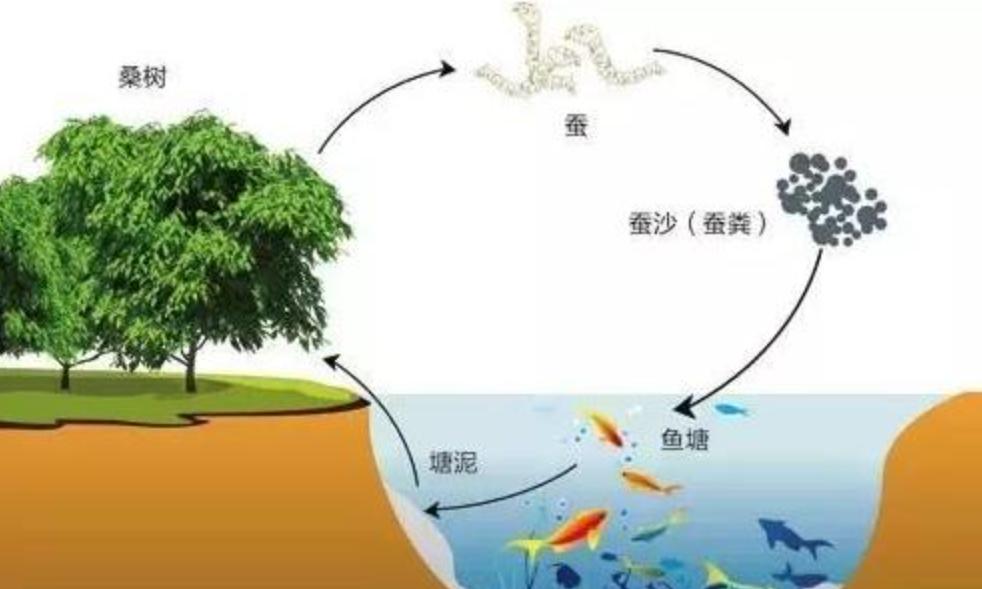 鏃ユ湰涓轰粈涔堝湪灞变笢绉熷湴,鏃ユ湰涓轰粈涔堝湪涓浗绉熷湴
