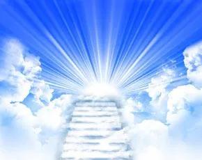 让你安心的小说,让你在遥远的地方过得安然完整版