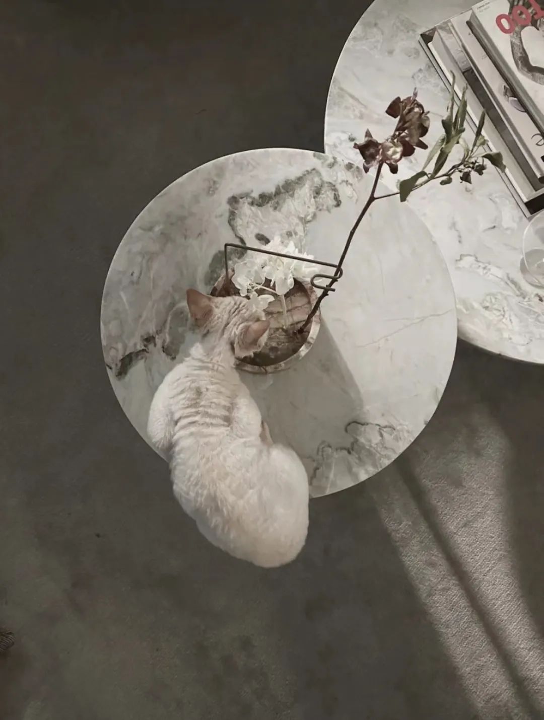 吴滨分享设计,设计师吴滨专访