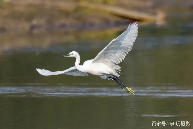 老师给我打电话谈论孩子的问题,老师来电的反应