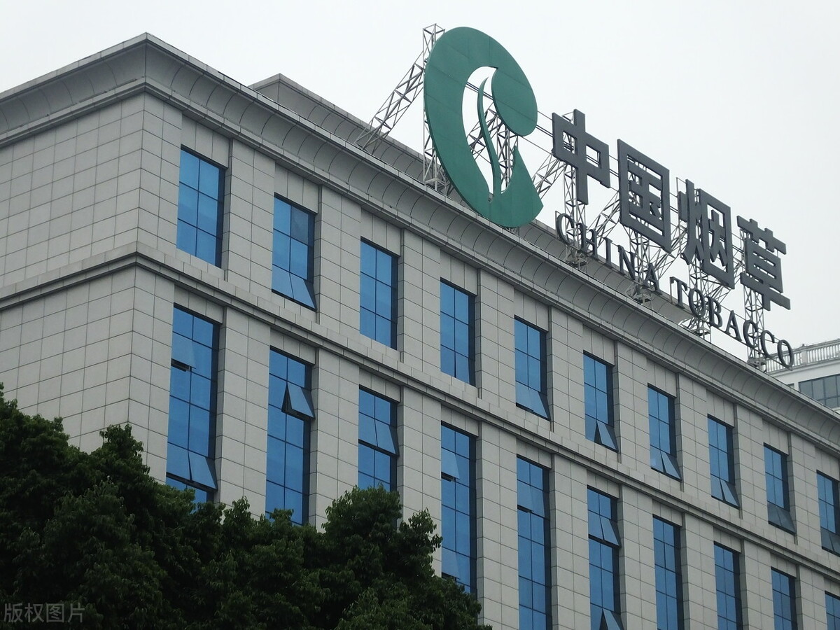 中金公司和中投公司哪个好,中国烟草公司员工工资年薪多少钱