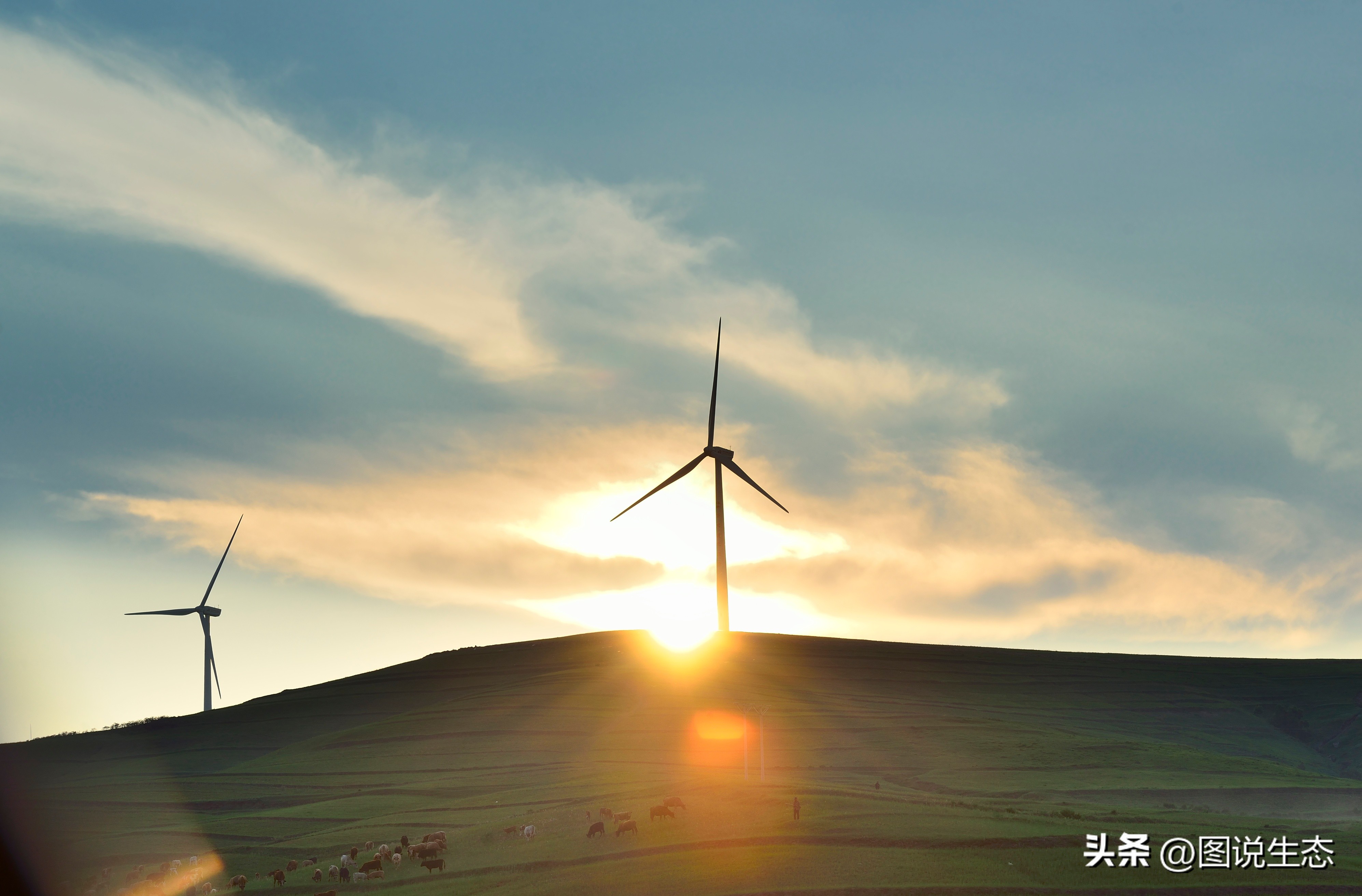 坝上草原游玩的好去处,锡林郭勒大草原和丰宁坝上