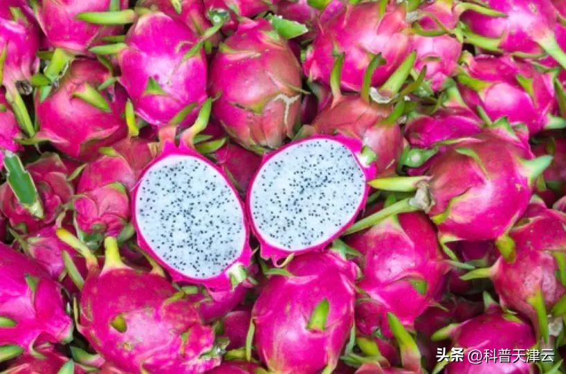 常吃火龙果身体会有什么变化,常吃火龙果皮肤能变好吗